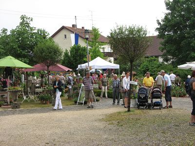 Rosenschau Unterliezheim